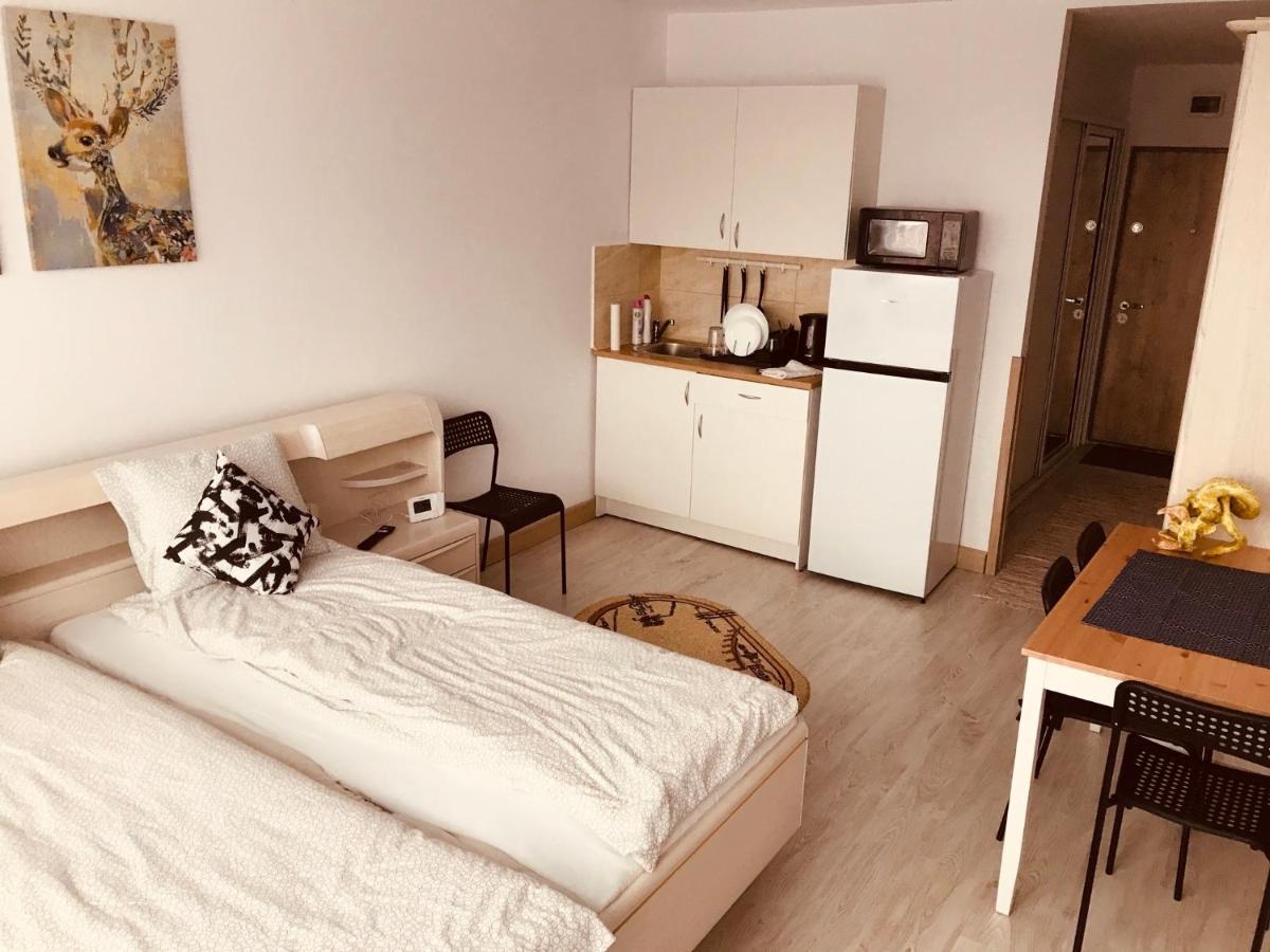 Studio 1O1O1 Leilighet Piatra Neamţ Eksteriør bilde