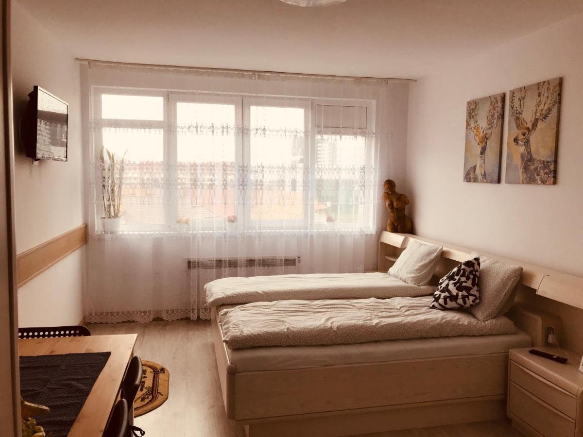 Studio 1O1O1 Leilighet Piatra Neamţ Eksteriør bilde